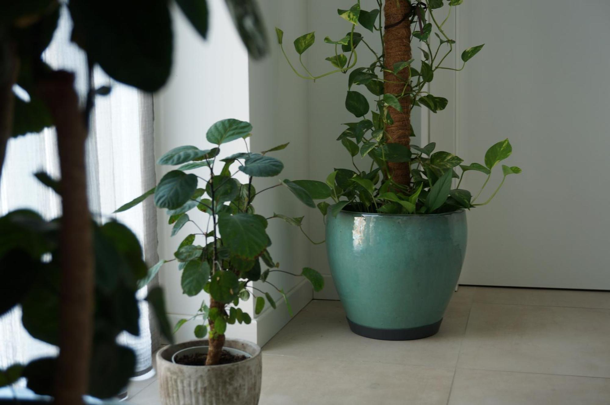 Green Stay Bergamo Dış mekan fotoğraf